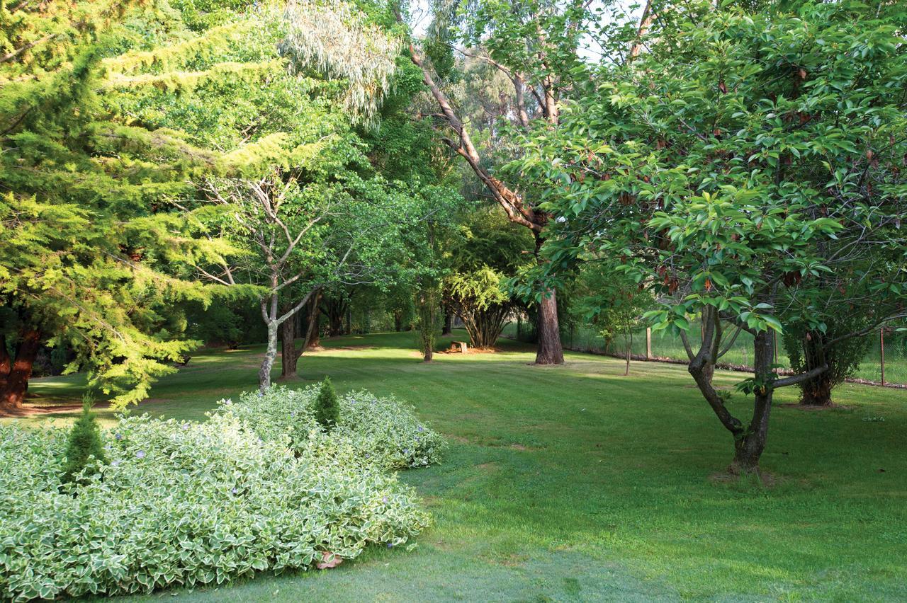 Clifton Gardens Bed & Breakfast - 오렌지 외부 사진